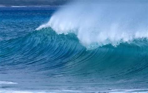 浪奔浪流 意思